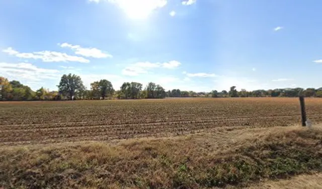 Gibson Electric Maury City