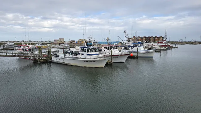Westport Harbor Marina