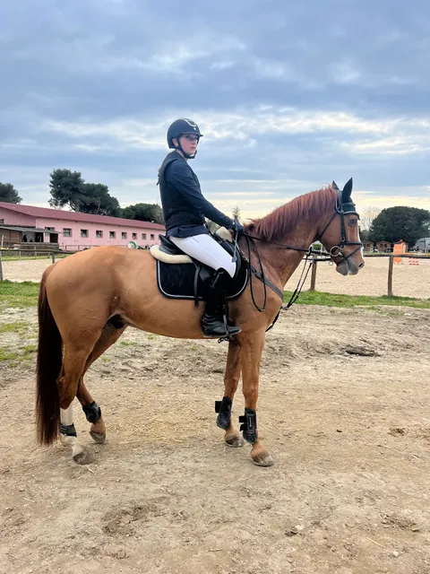 Equestrian Center Boccadarno