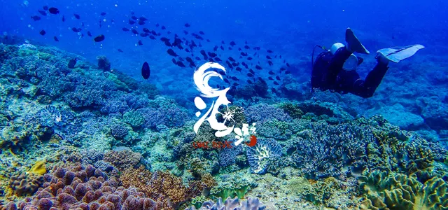 沖繩海潛 Umi Dive Okinawa