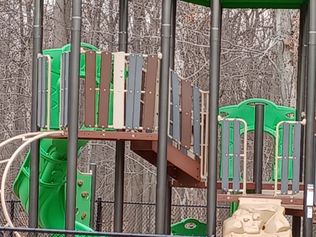 Dog Park at Rifle Camp Park