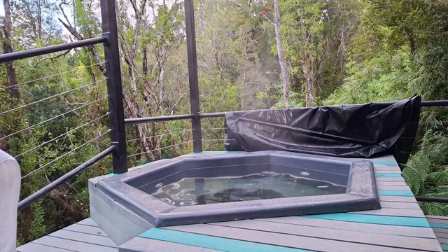 Lophosoria Eco Lodge · Tinajas Calientes y Senderos en la Selva Valdiviana