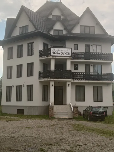 Pensiunea Valea Pintei