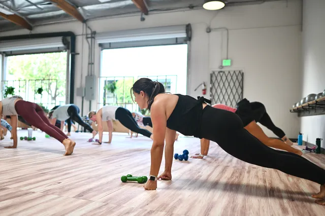 FWRD+ wellness collective