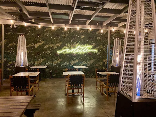 Colette Pasadena 人生如戏