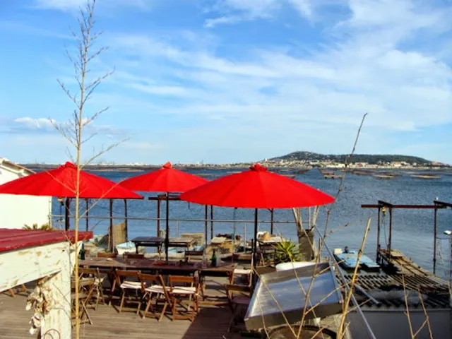 Le Mas du Joep - Dégustation Bouzigues