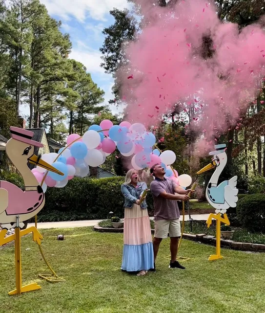 Stork News of Fayetteville