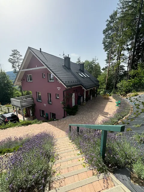 Apartamenty Lavender Hill