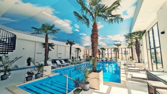 Complex Parc Pini Moinesti