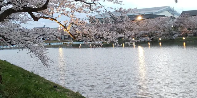 Hirosaki Park West Moat Boat Landing