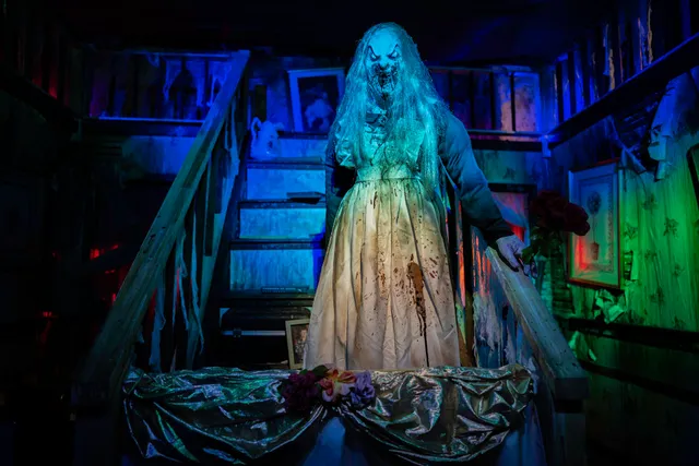 Haunted Web Scream Park