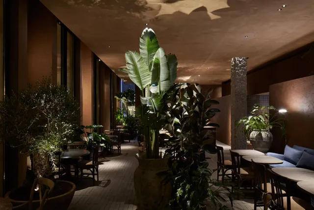 Terra Eatery Al Thanya, Dubai