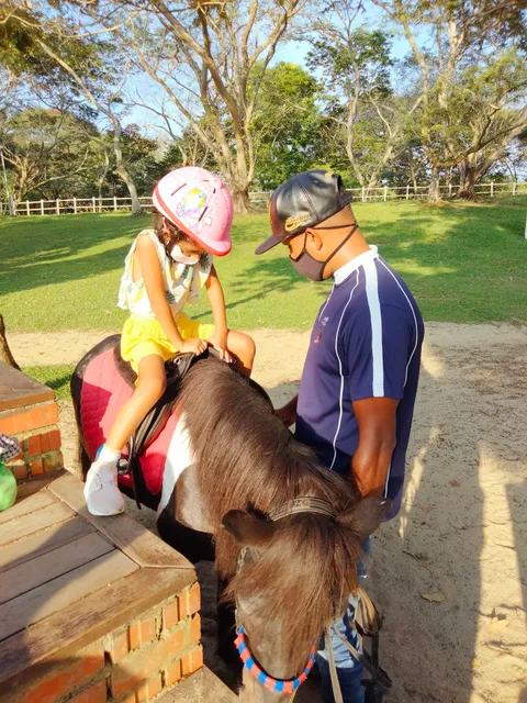Gallop Stable @ Pasir Ris Park