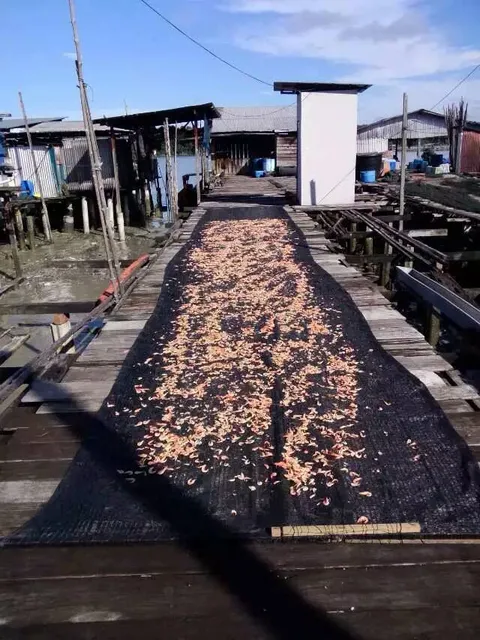 Taiping Vacation Homestay