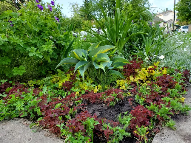 Twin Brooks Community Garden