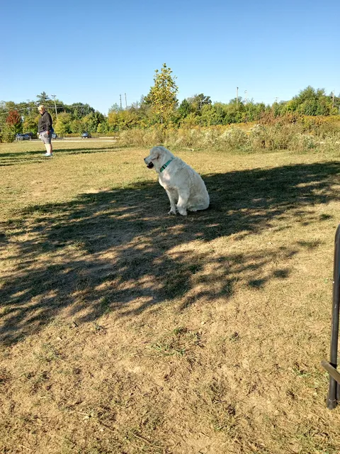 Oldfield Oaks Dog Park