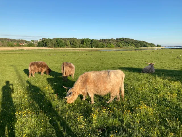 Välens Naturreservat