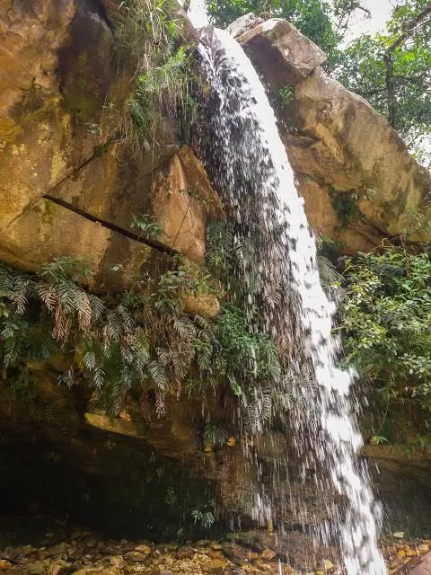 Trilha Vale das Borboletas