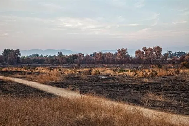 Sepulveda Basin Recreation Area