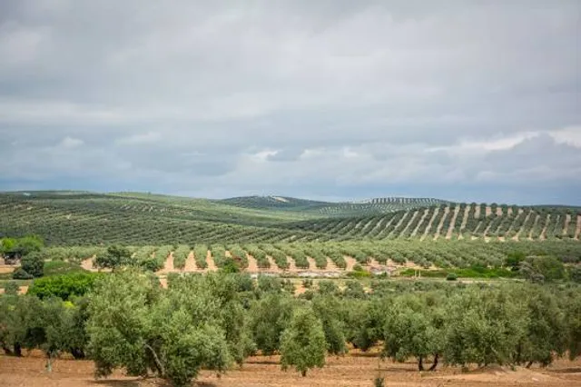Cueva de las Ventanas