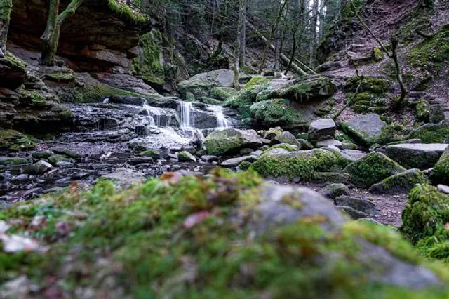 Monbachschlucht Bad Liebenzell