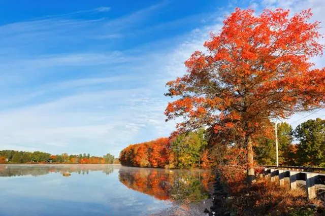 Räpina Local History and Gardening Museum