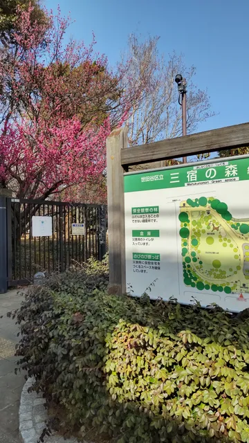 Mishuku-no-Mori Greenspace