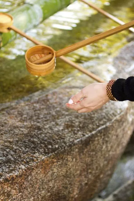 Ecological Park "Dr. Paulino Recch "