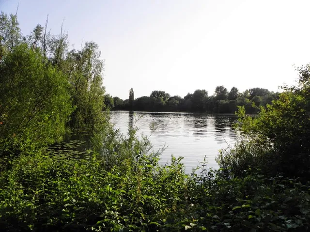 Großer Ricklinger Teich