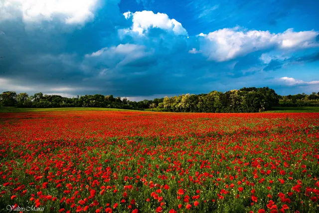 Parco Colline Moreniche di Castiglione