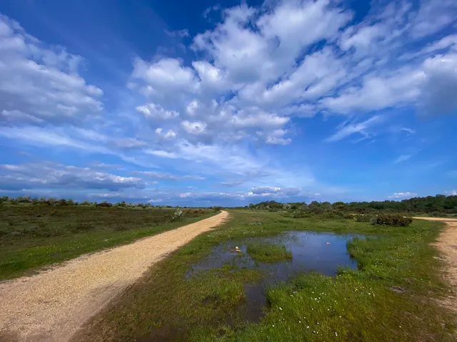 Greenham & Crookham Common Nature Reserve