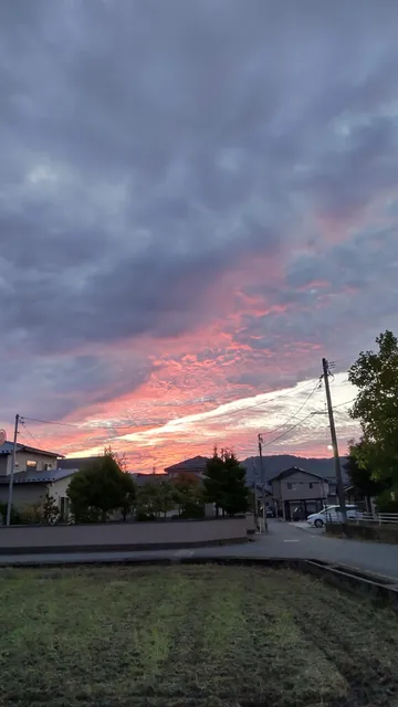 Nukashinbo Central Park