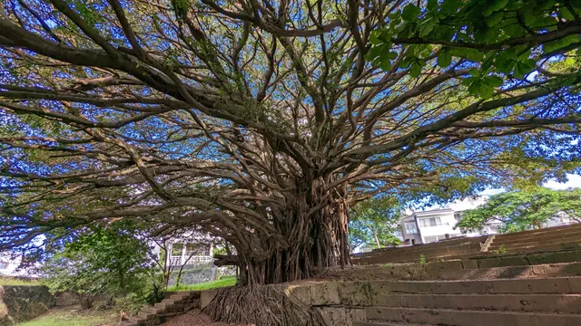 Former Chongyuan Temple Stone Gate