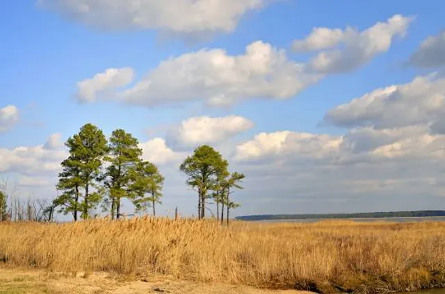 Eastern Neck National Wildlife Refuge