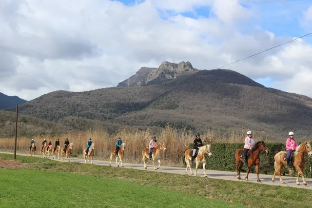 eQuaid - eQuillet Club Hipic