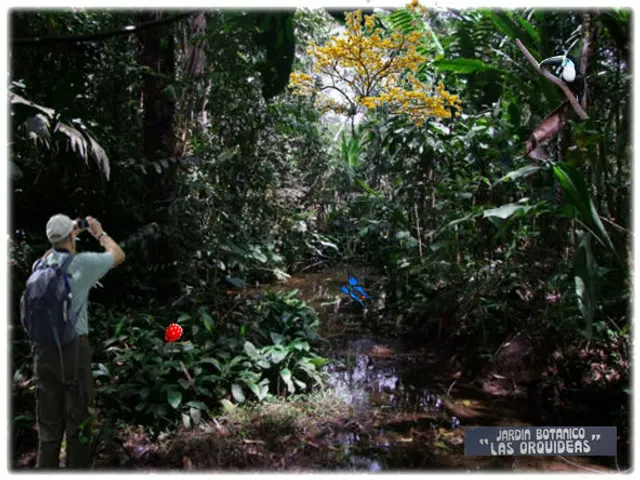 "Las Orquídeas" Botanical Garden