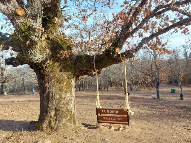 El Bosque de los Enanitos