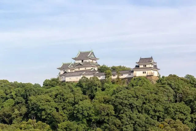 Wakayama Castle