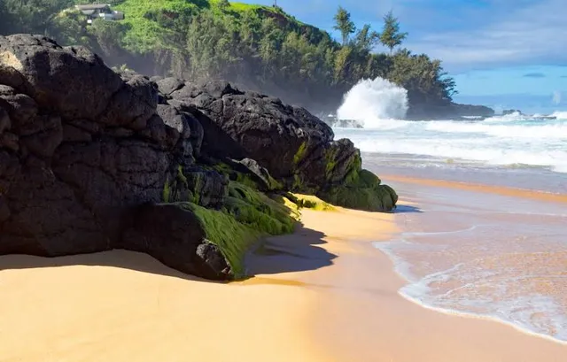 Kilauea Point National Wildlife Refuge