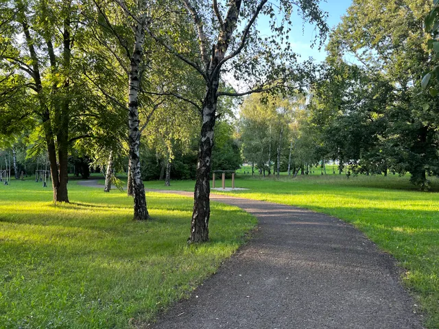 Mestský park, Brezový háj