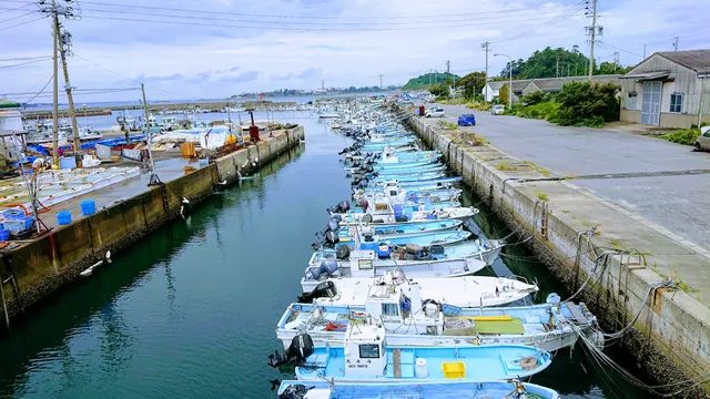 Shinojima Fishing Heaven