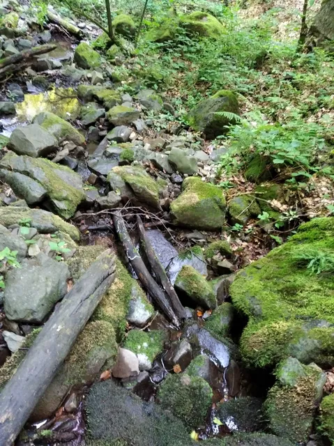 Perechyn Urban Hromada