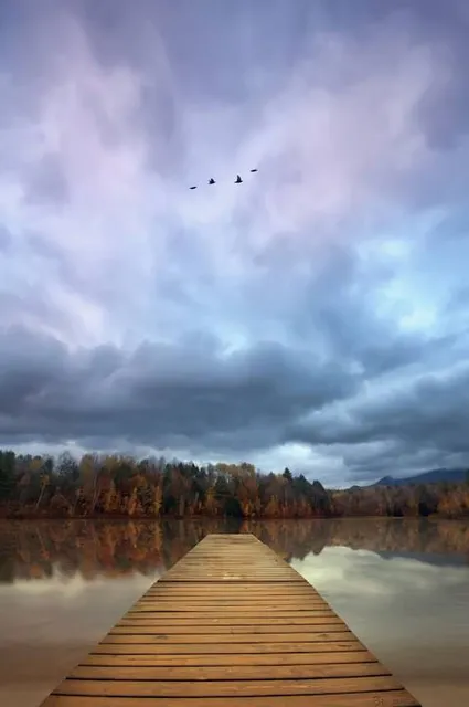 Cold Hollow Cider Mill