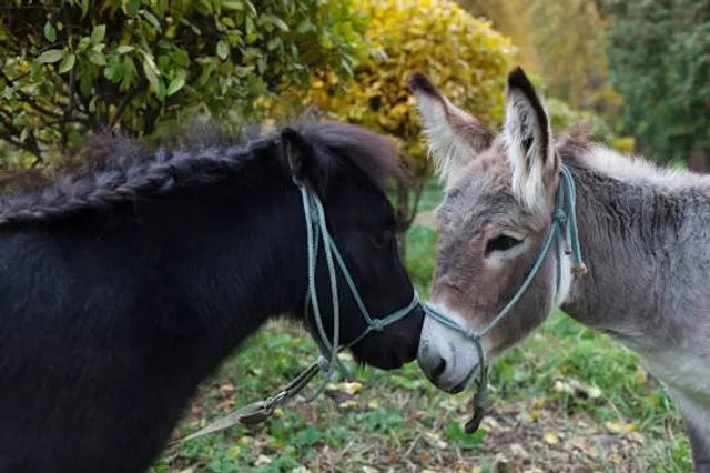 Annapolis Waterworks Park