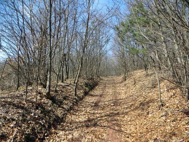 Svrljig Municipality