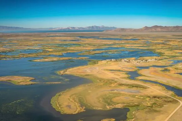 Farmington Bay Waterfowl Management Area