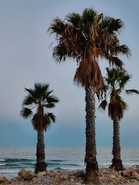 Playa Chilches/Comunidad Valenciana/Castellon/España