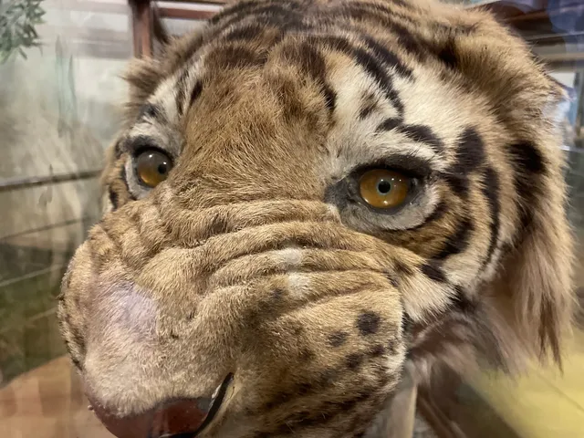 Corbett interpretation centre