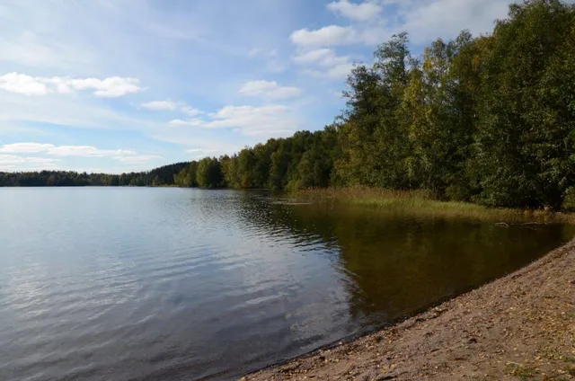 Alasenjärvi