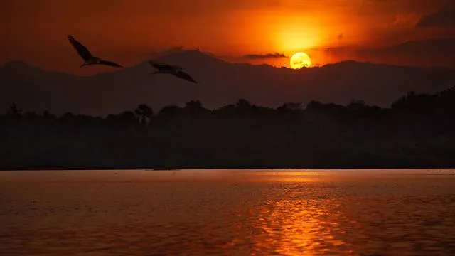 Papa Kit's Marina and Fishing Lagoon